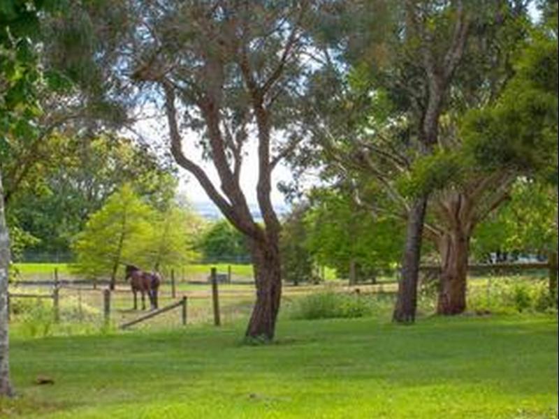 Lakes And Craters Holiday Park Camperdown Esterno foto